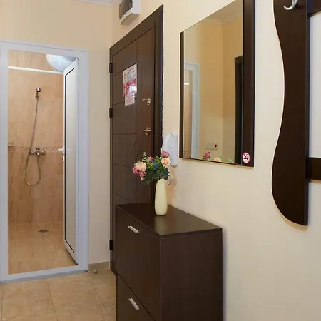 Daire Feniks Misivri